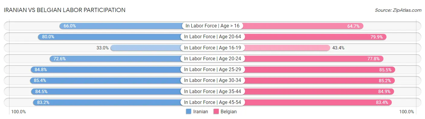 Iranian vs Belgian Labor Participation