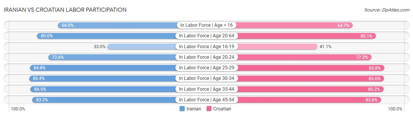 Iranian vs Croatian Labor Participation