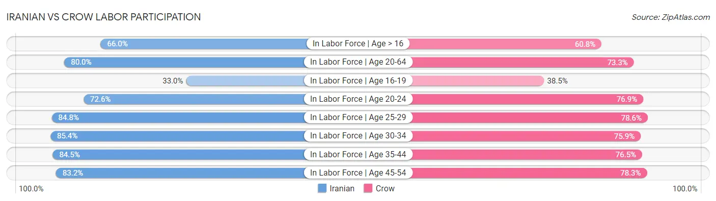 Iranian vs Crow Labor Participation