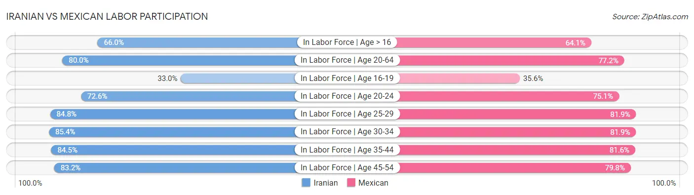 Iranian vs Mexican Labor Participation