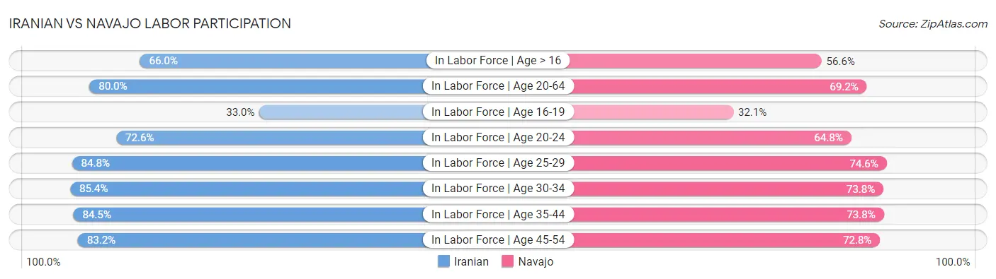 Iranian vs Navajo Labor Participation
