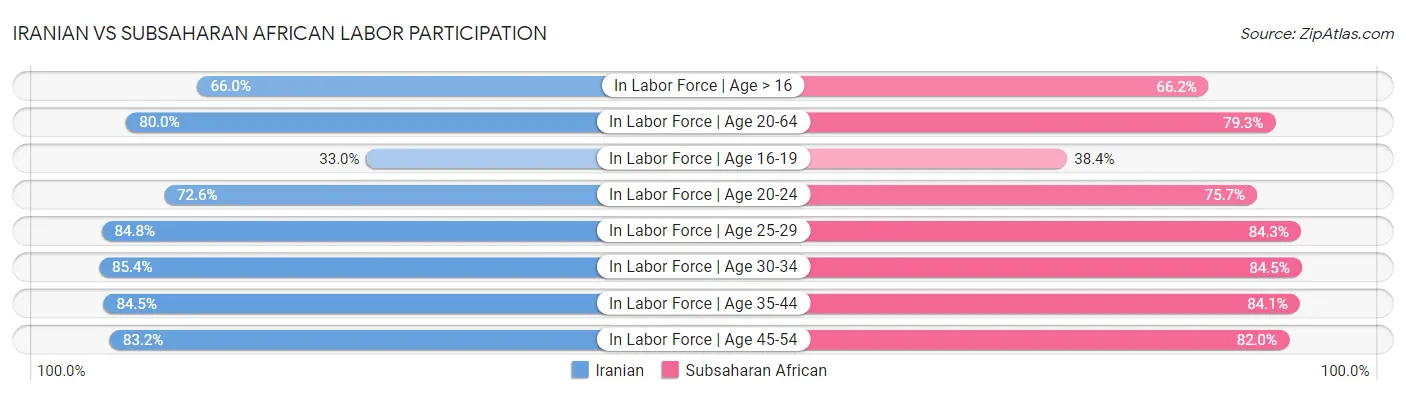 Iranian vs Subsaharan African Labor Participation