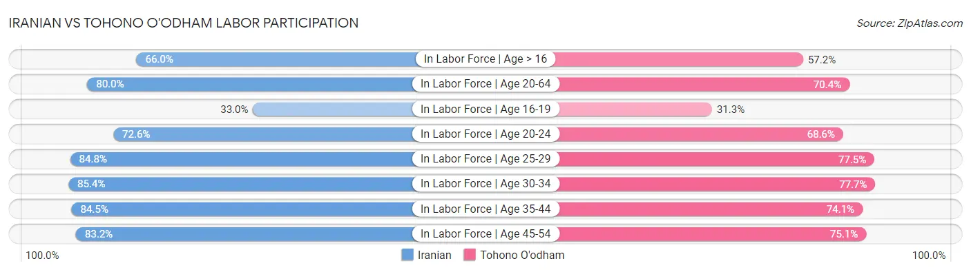Iranian vs Tohono O'odham Labor Participation