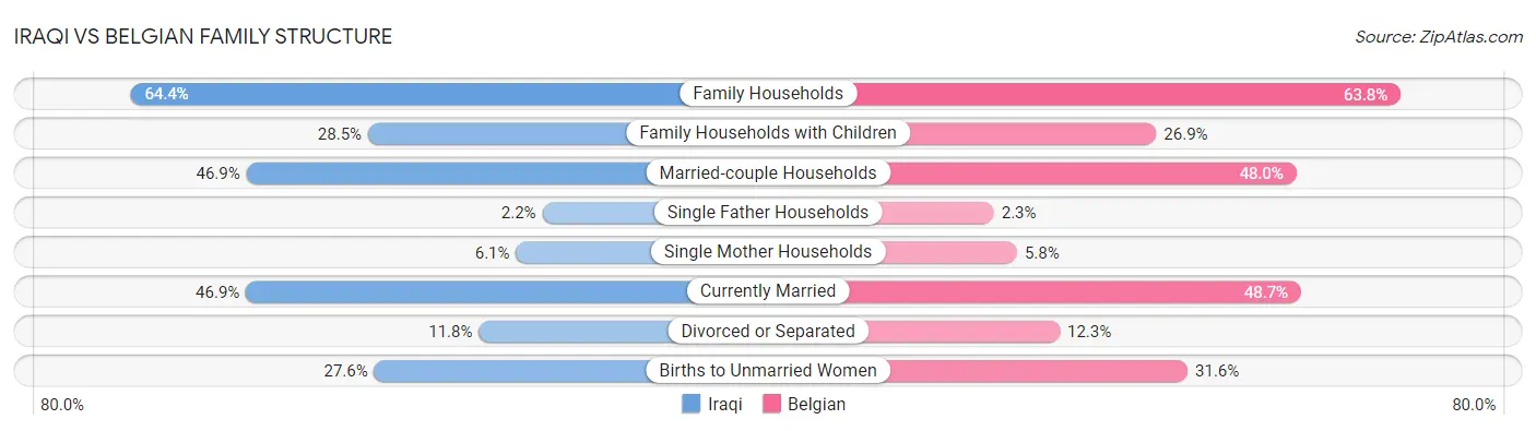 Iraqi vs Belgian Family Structure
