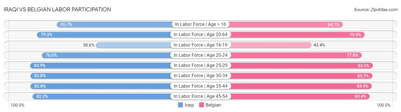 Iraqi vs Belgian Labor Participation