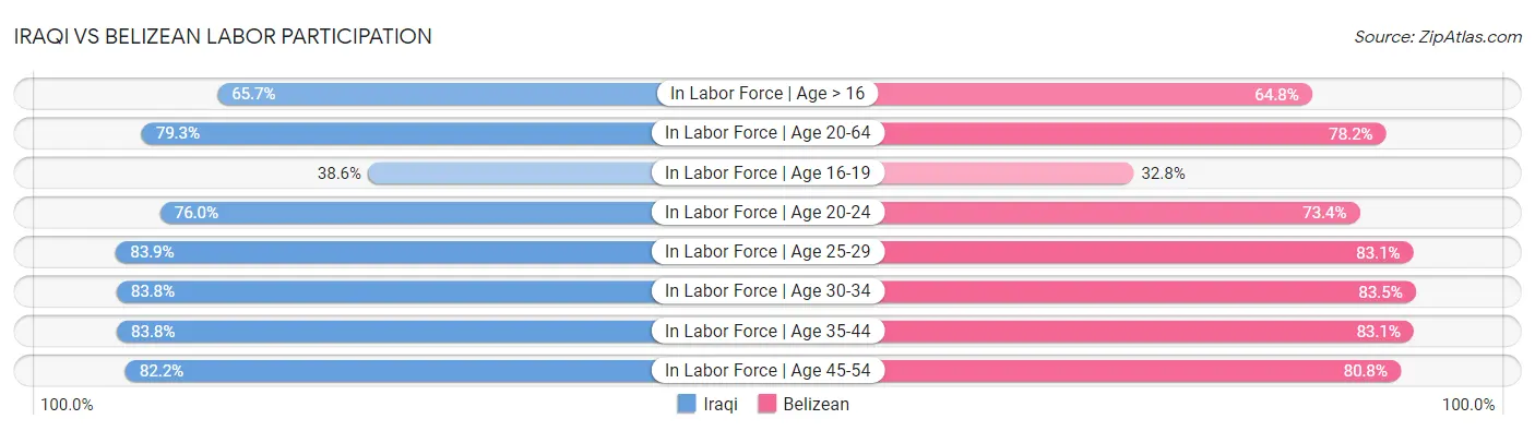Iraqi vs Belizean Labor Participation