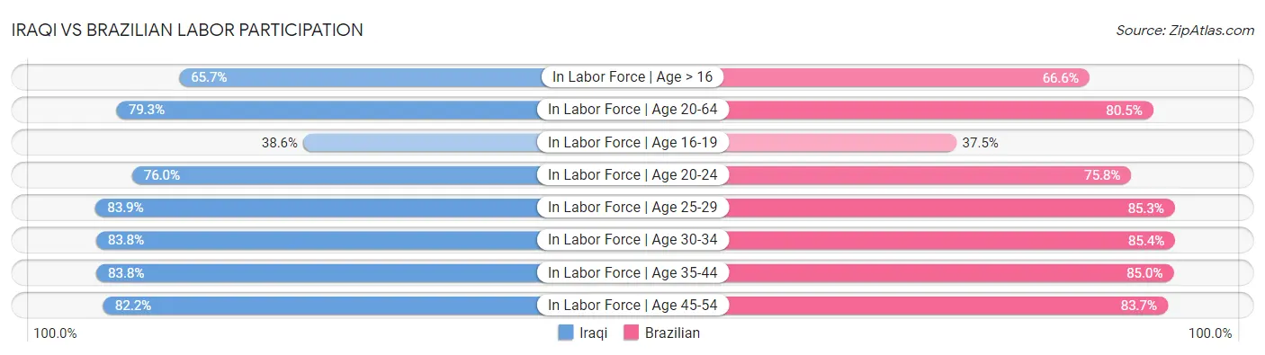 Iraqi vs Brazilian Labor Participation
