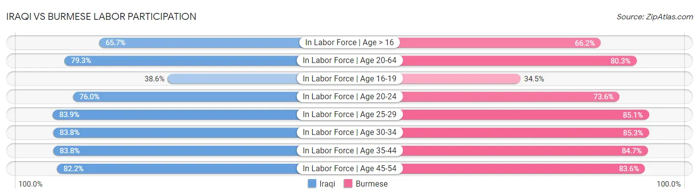 Iraqi vs Burmese Labor Participation