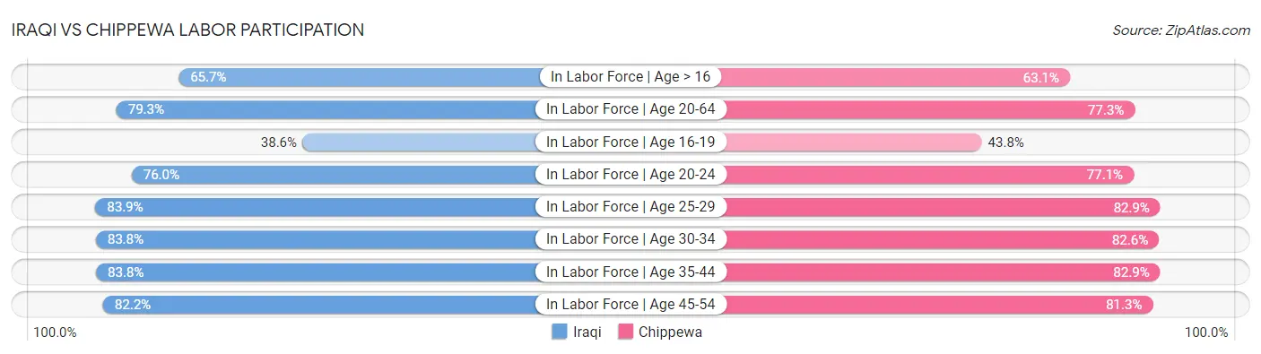 Iraqi vs Chippewa Labor Participation