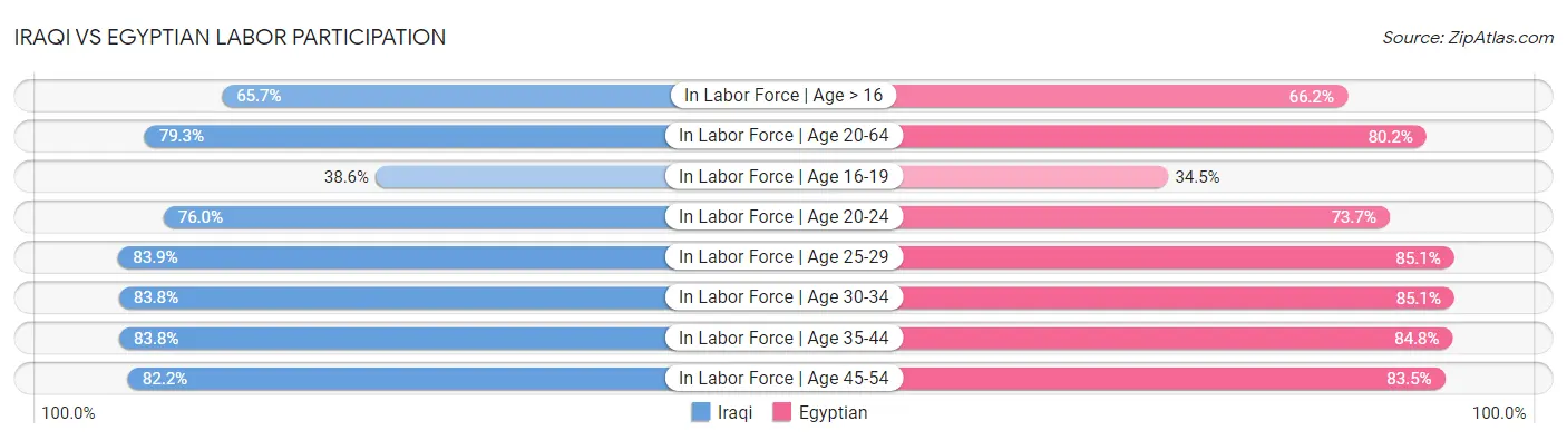 Iraqi vs Egyptian Labor Participation