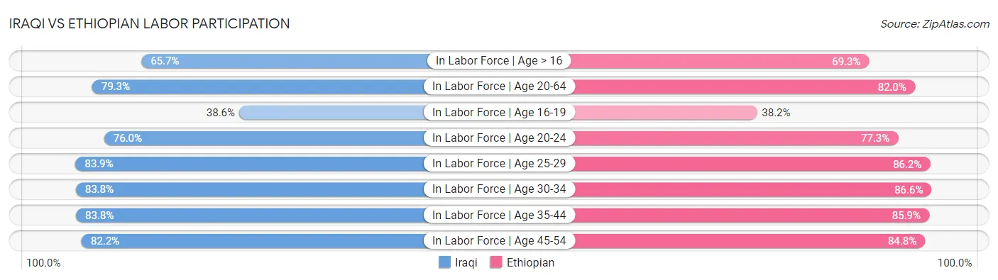 Iraqi vs Ethiopian Labor Participation