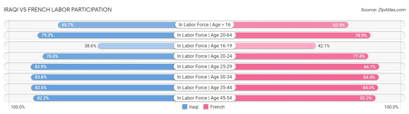 Iraqi vs French Labor Participation