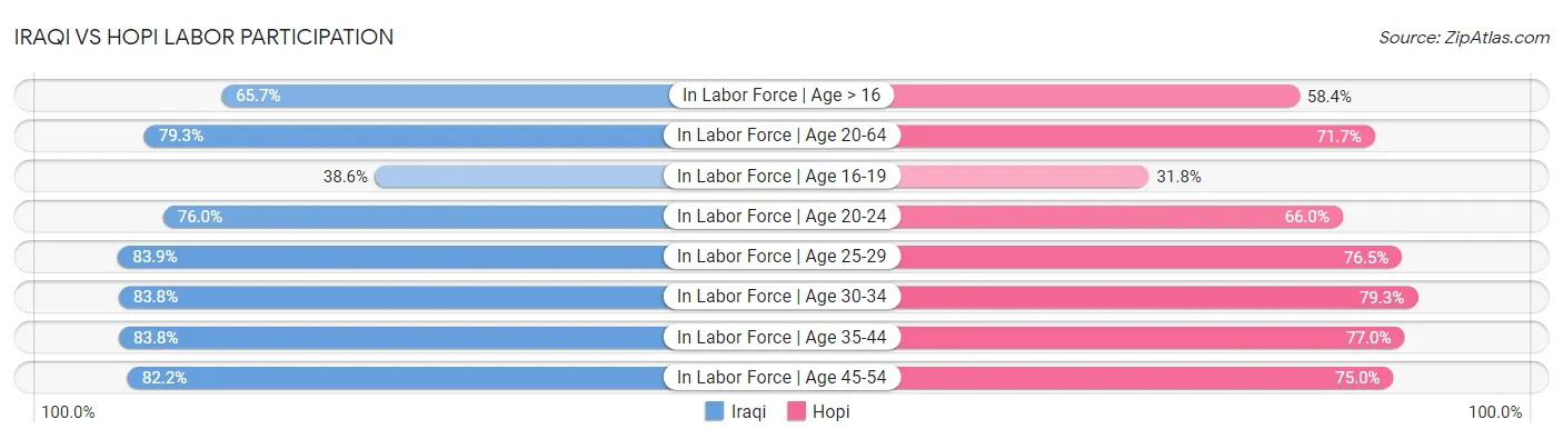 Iraqi vs Hopi Labor Participation