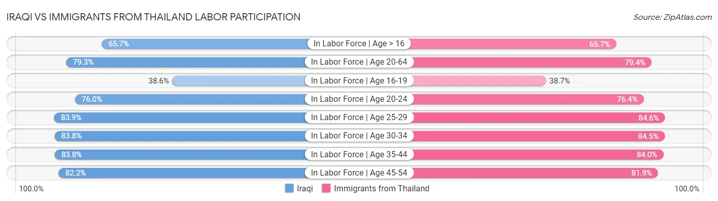 Iraqi vs Immigrants from Thailand Labor Participation