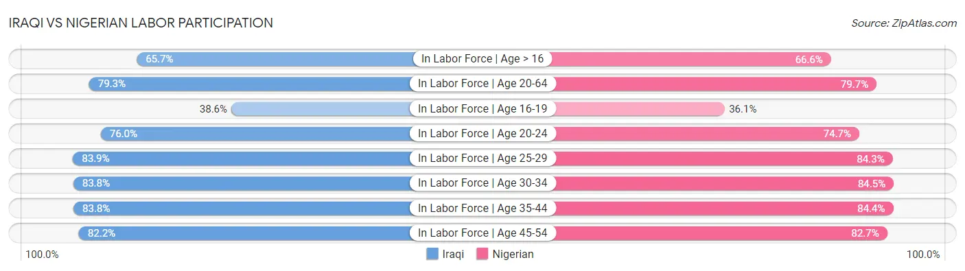 Iraqi vs Nigerian Labor Participation