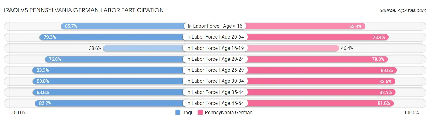 Iraqi vs Pennsylvania German Labor Participation
