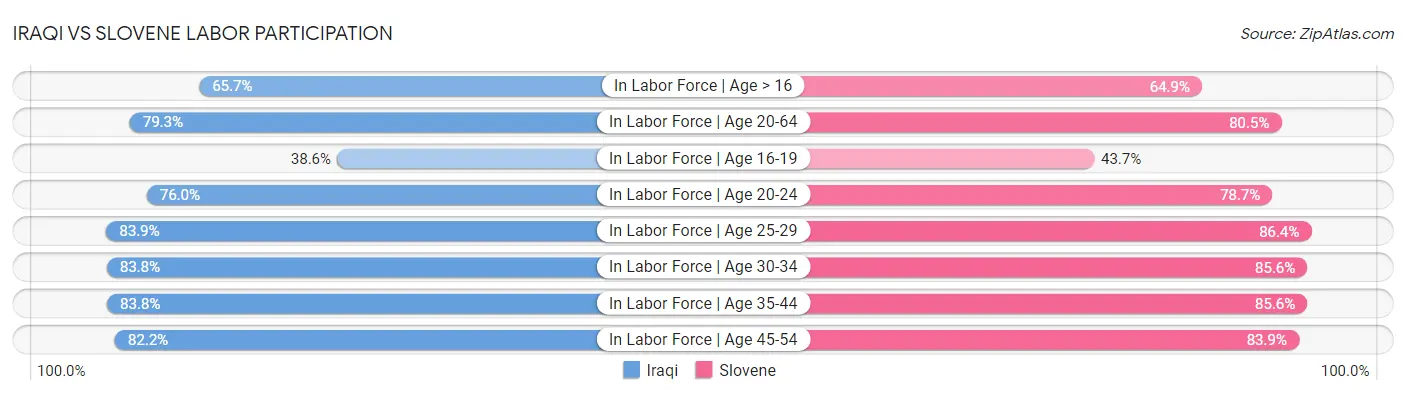 Iraqi vs Slovene Labor Participation