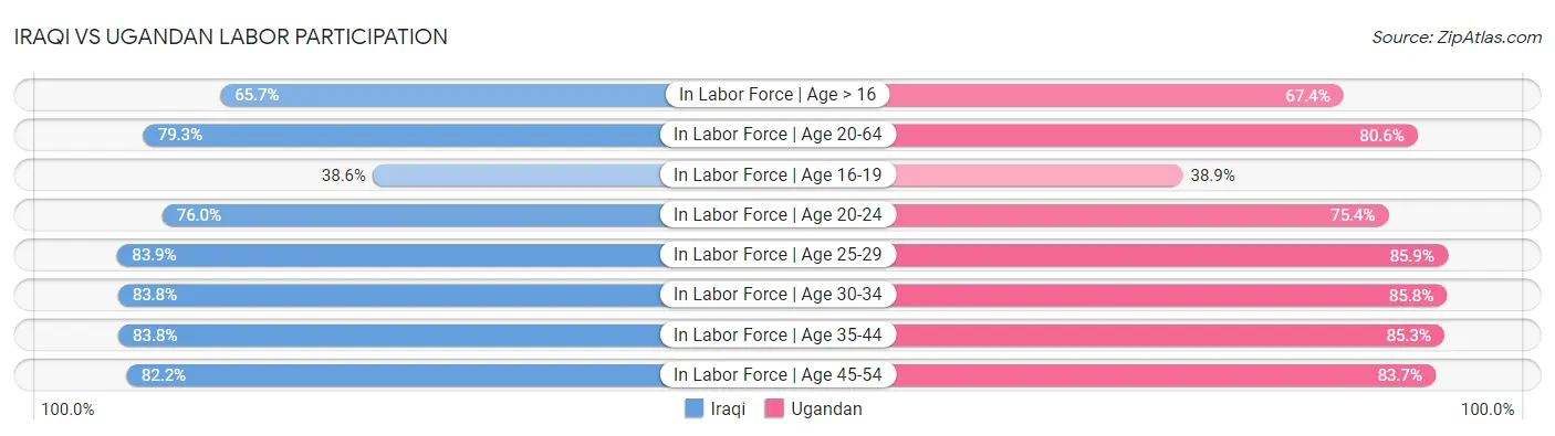 Iraqi vs Ugandan Labor Participation
