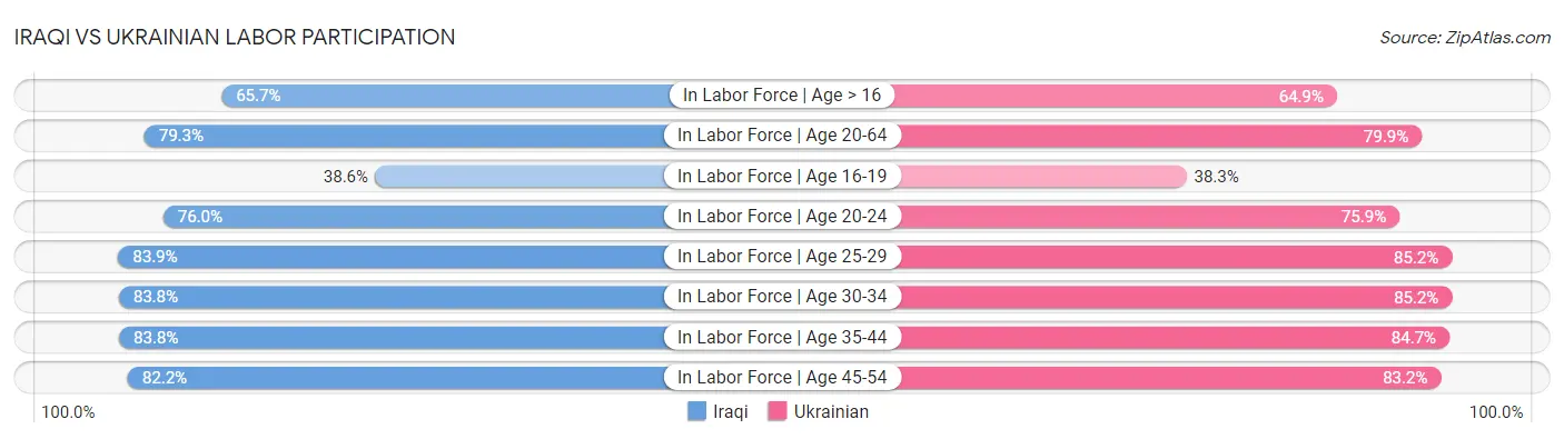 Iraqi vs Ukrainian Labor Participation