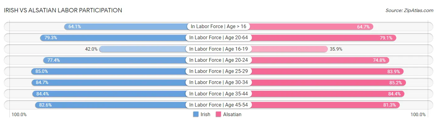 Irish vs Alsatian Labor Participation