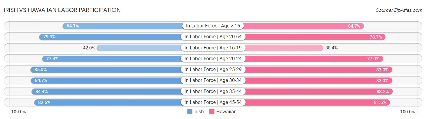 Irish vs Hawaiian Labor Participation