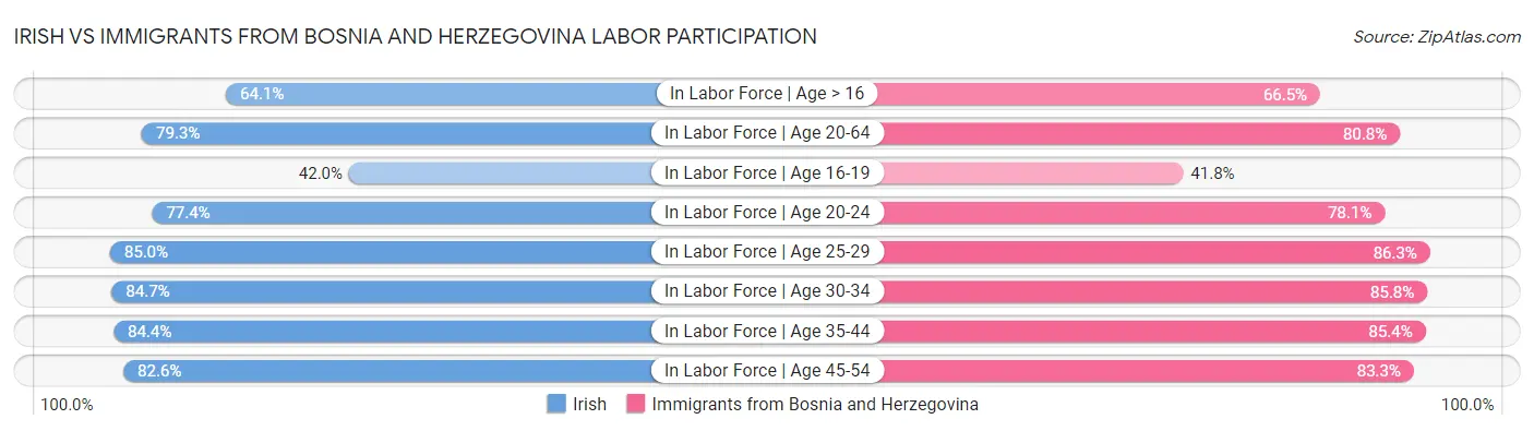 Irish vs Immigrants from Bosnia and Herzegovina Labor Participation