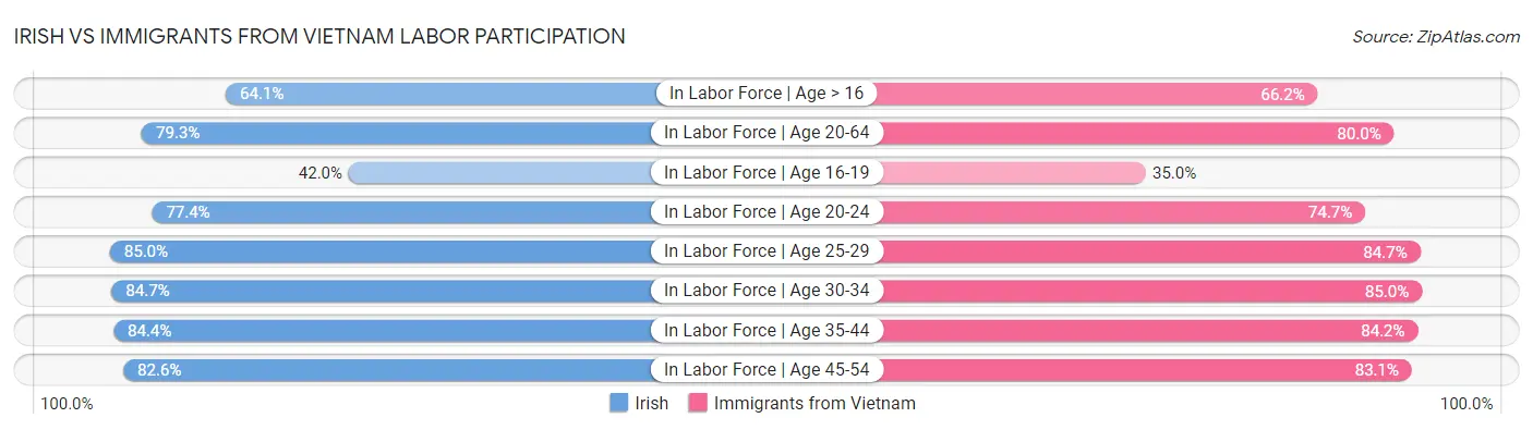 Irish vs Immigrants from Vietnam Labor Participation