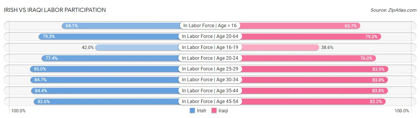 Irish vs Iraqi Labor Participation