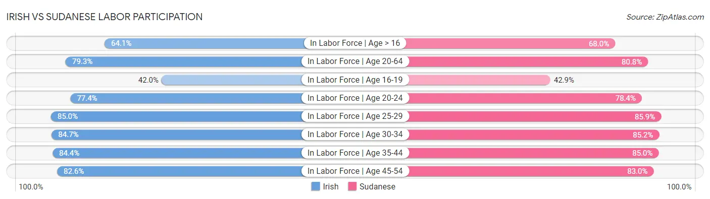Irish vs Sudanese Labor Participation
