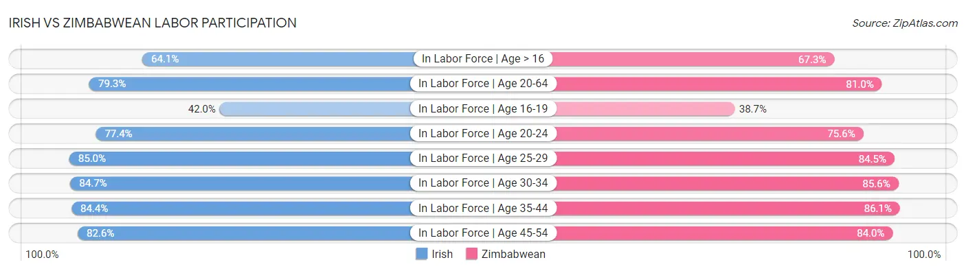 Irish vs Zimbabwean Labor Participation