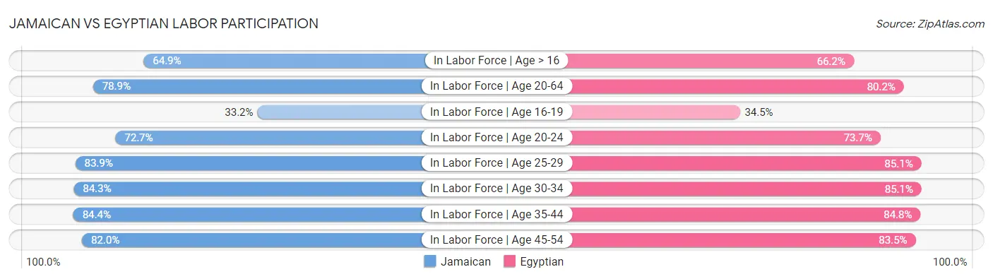 Jamaican vs Egyptian Labor Participation