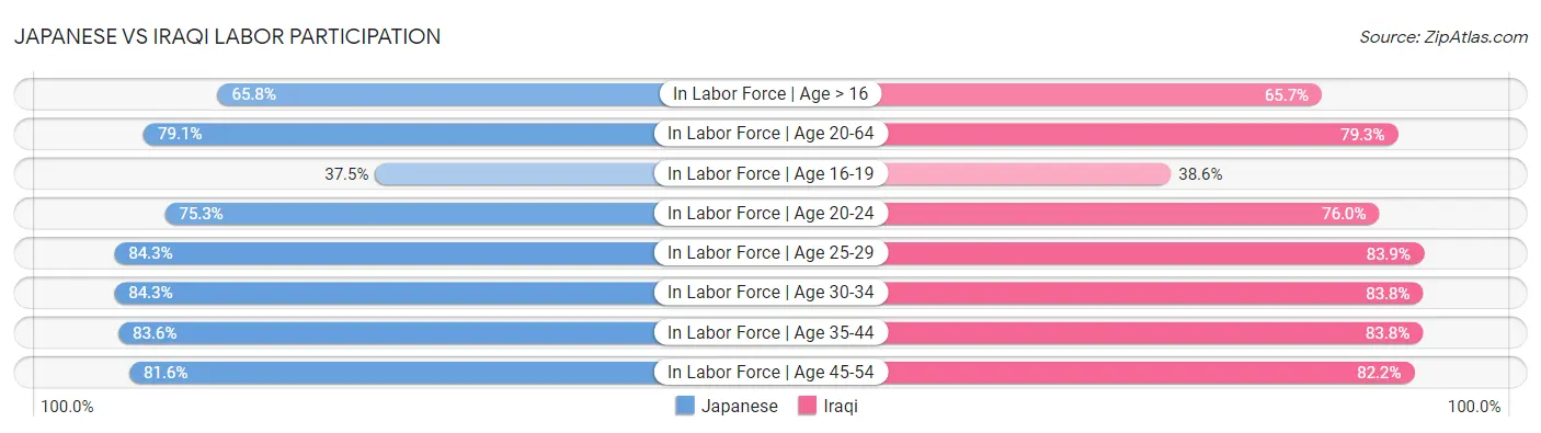 Japanese vs Iraqi Labor Participation