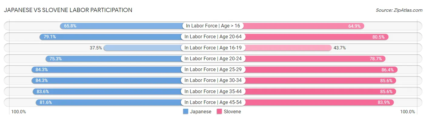 Japanese vs Slovene Labor Participation