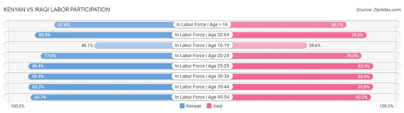 Kenyan vs Iraqi Labor Participation