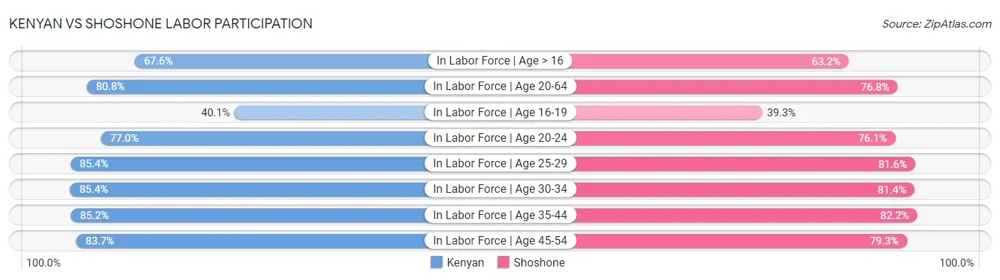 Kenyan vs Shoshone Labor Participation