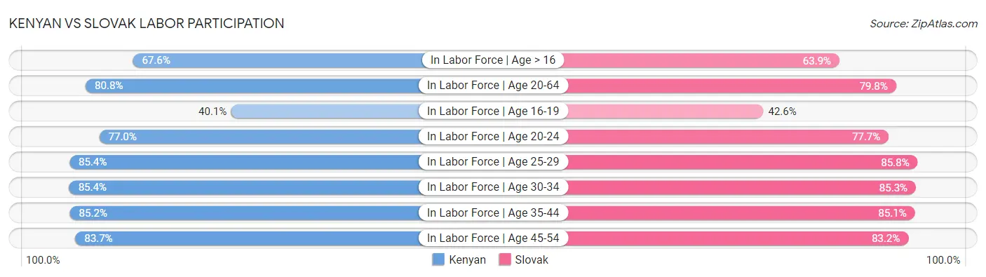 Kenyan vs Slovak Labor Participation
