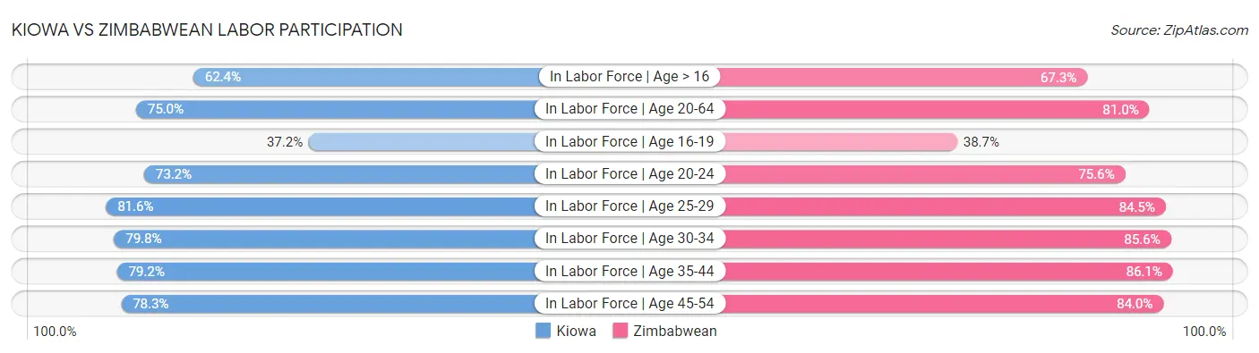 Kiowa vs Zimbabwean Labor Participation