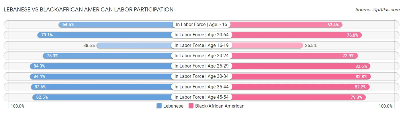 Lebanese vs Black/African American Labor Participation