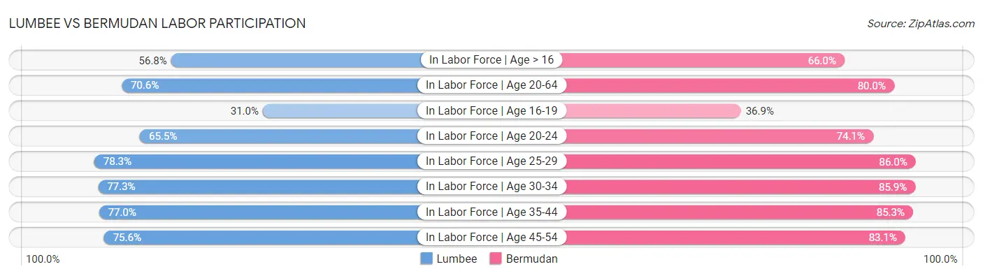 Lumbee vs Bermudan Labor Participation