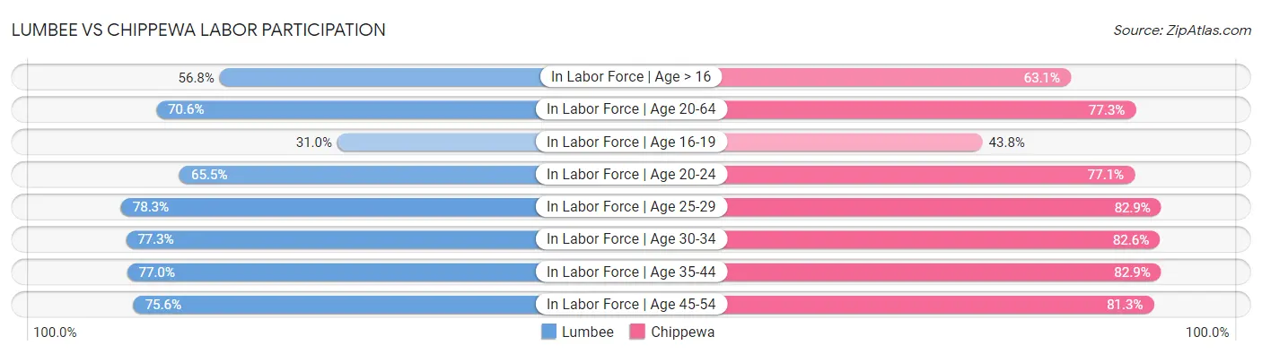 Lumbee vs Chippewa Labor Participation