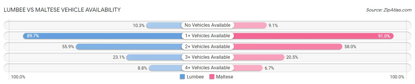 Lumbee vs Maltese Vehicle Availability