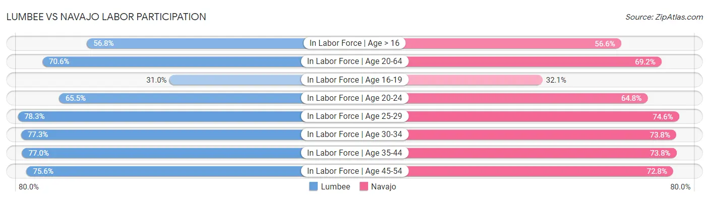 Lumbee vs Navajo Labor Participation