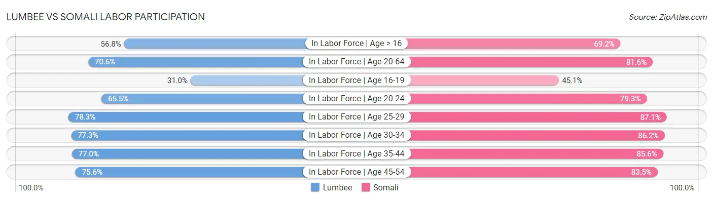 Lumbee vs Somali Labor Participation