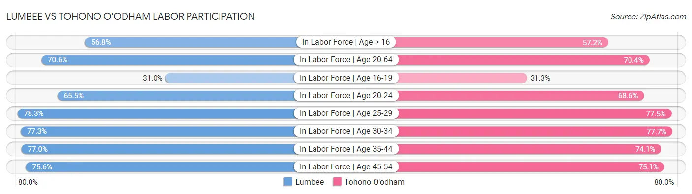Lumbee vs Tohono O'odham Labor Participation