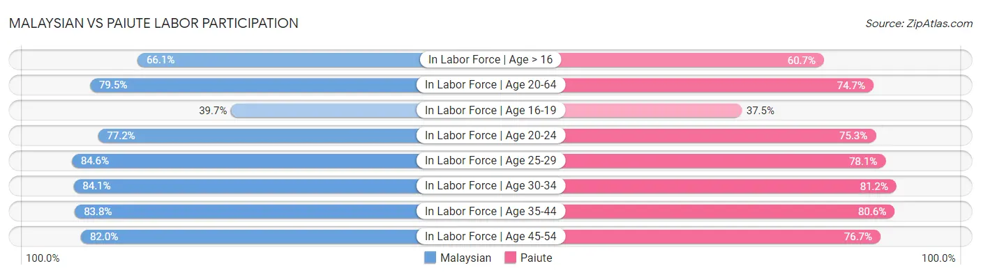 Malaysian vs Paiute Labor Participation