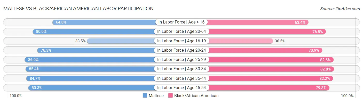 Maltese vs Black/African American Labor Participation