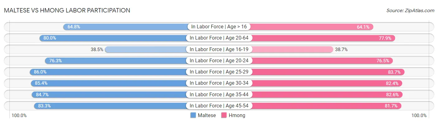 Maltese vs Hmong Labor Participation