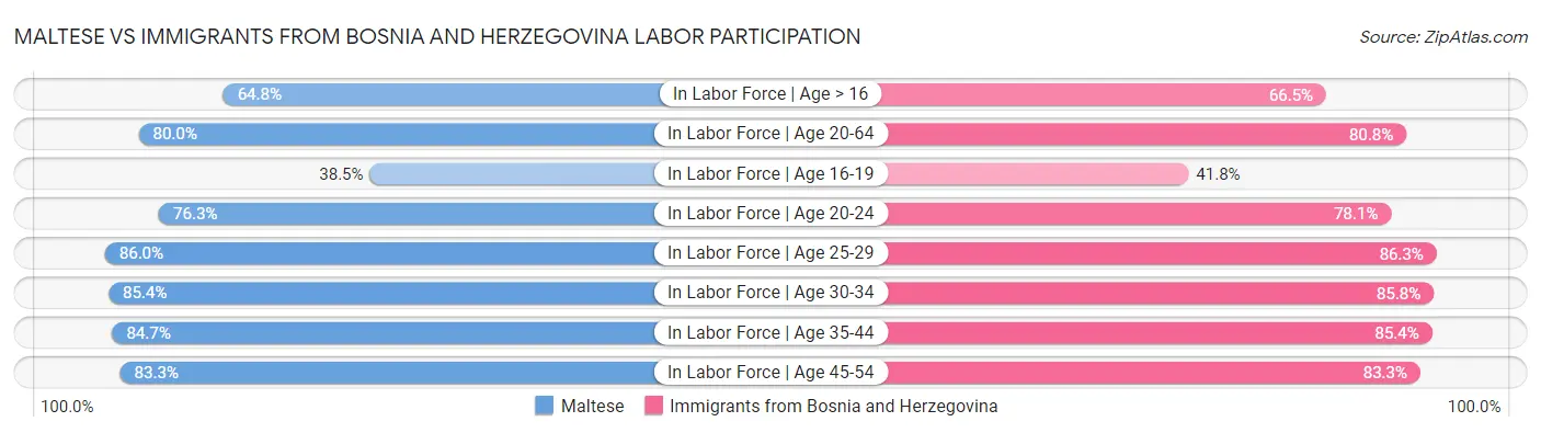 Maltese vs Immigrants from Bosnia and Herzegovina Labor Participation