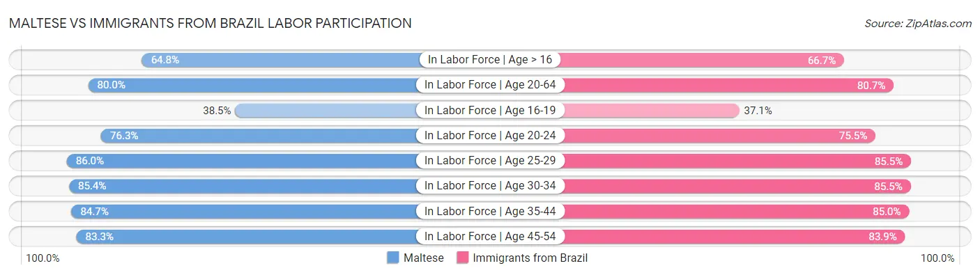 Maltese vs Immigrants from Brazil Labor Participation
