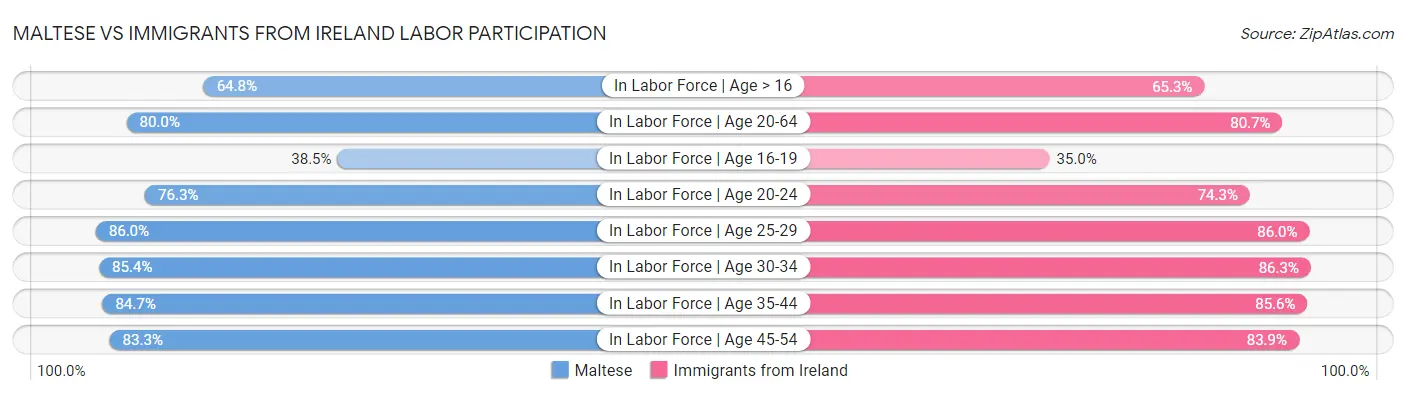 Maltese vs Immigrants from Ireland Labor Participation